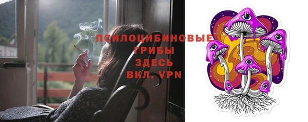 прущий лед Бежецк