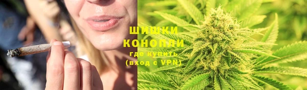 сатива Бикин