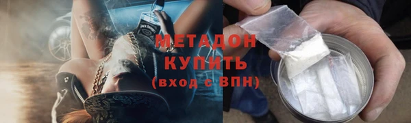 прущие грибы Беслан