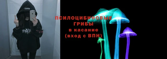 прущие грибы Беслан