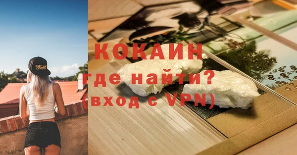 прущие грибы Беслан