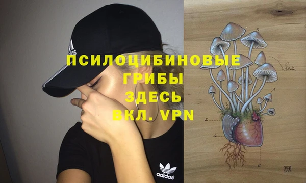 сатива Бикин