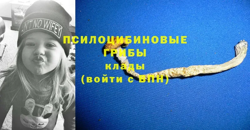 Галлюциногенные грибы MAGIC MUSHROOMS  купить наркоту  Дюртюли 