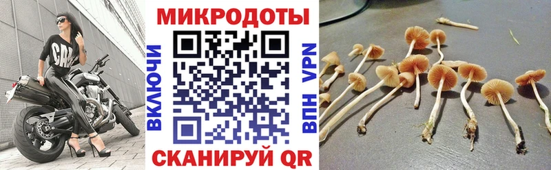 как найти   Дюртюли  Псилоцибиновые грибы ЛСД 