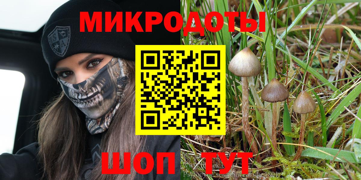 Галлюциногенные грибы Psilocybe  Псилоцибиновые грибы ЛСД  Дюртюли 