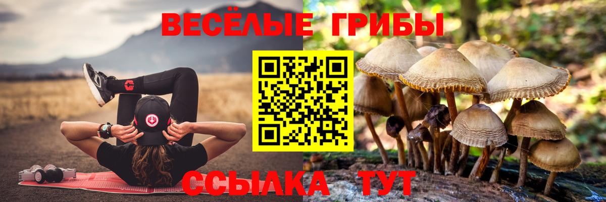 Псилоцибиновые грибы GOLDEN TEACHER  Вход с VPN  Галлюциногенные грибы Psilocybine cubensis  Дюртюли 
