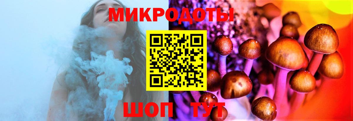 Псилоцибиновые грибы прущие грибы Дюртюли